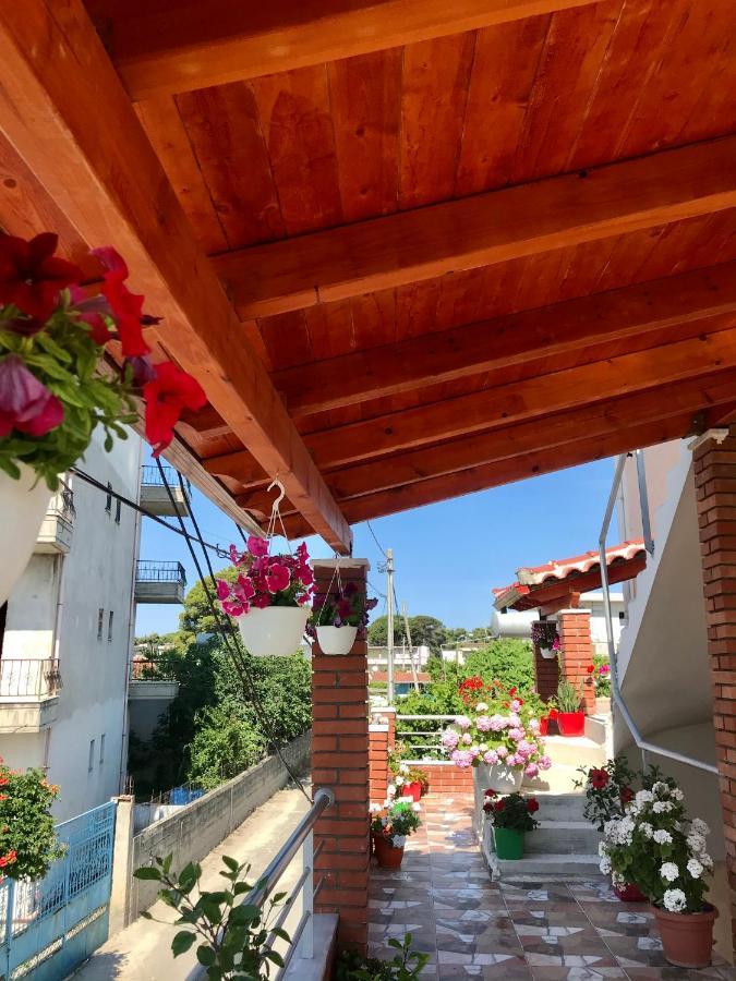 فندق فلورافي  Vila Arlind المظهر الخارجي الصورة